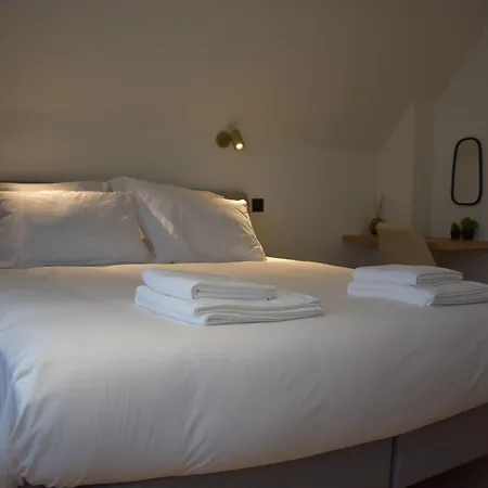 B&B Villa Mimosa NeerNeerpelt Buitenkant foto
